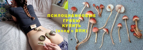 бошки Алексеевка
