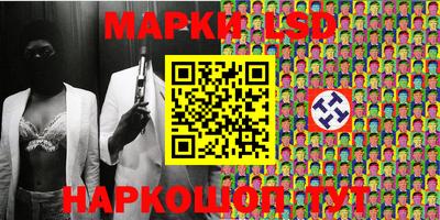 прущие грибы Абакан
