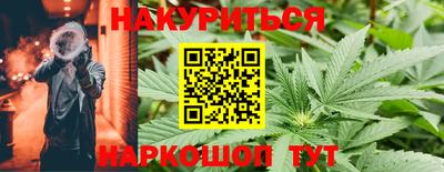 спиды Гатчина