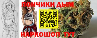 спиды Гатчина