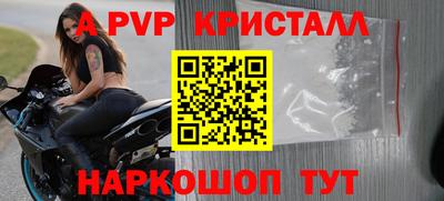 спиды Гатчина