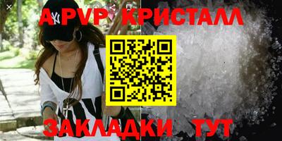 спиды Гатчина