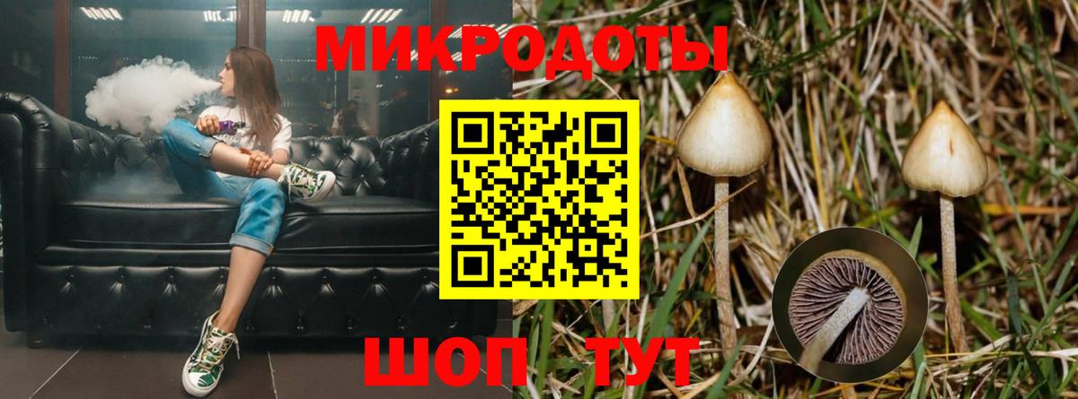 Галлюциногенные грибы Psilocybe Лесной