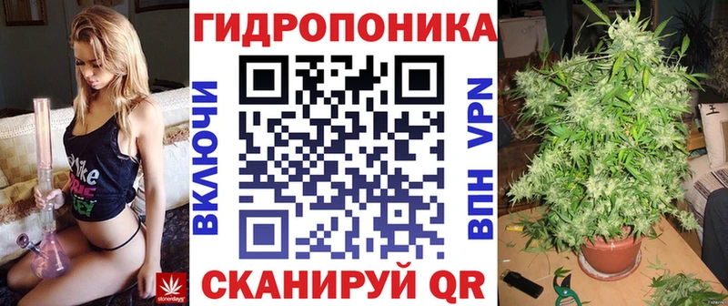 купить закладку Лесной Марихуана SATIVA & INDICA
